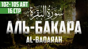 Сура аль Бакара 102 -105 аят Абу Хабиба