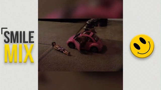 Подборка смешных котов и кошек | Приколы с животными. Лучшие приколы 2017 смотреть онлайн