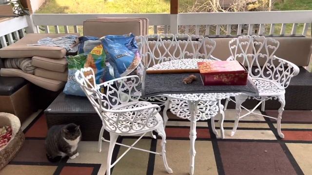 Генеральная уборка дома , стираем диваны , ковры , половое покрытие ( карпет). смотреть онлайн