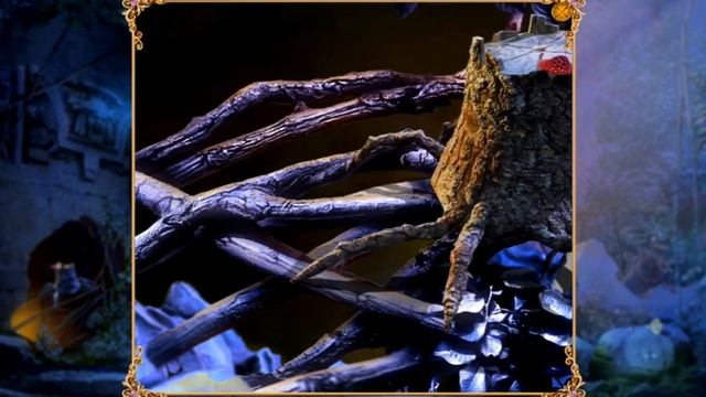 Королевский детектив. Королева теней. Коллекционное издание (трейлер) смотреть онлайн