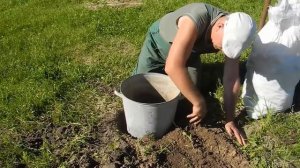 Где взять бесплатно ведро березового дегтя