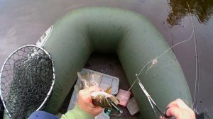 Рыбалка на реке В Вологодской и Новгородской области. Хариус, щука, окунь. река Песь.