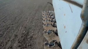 Сплошная культивация на Т-150г с 2-мя культиваторами КПС-4