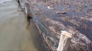 Хорлы. Пляж и море в Хорлах