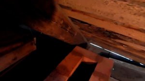 Боровок готов