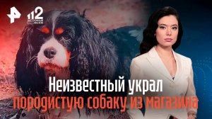 Украденного в магазине пса нашли в Химках
