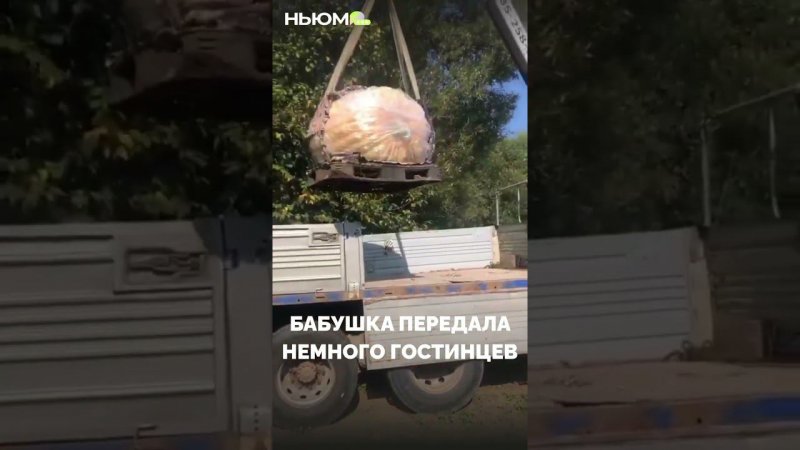 А вас уже поздравили с днём овощей?