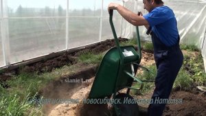 История применения природного земледелия на садовом участке. Новосибирск