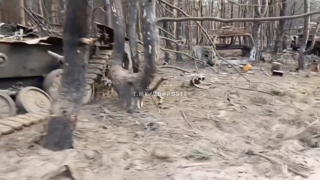Восточный фланг позиций ВСУ обработан при помощи ТОС-1А Солнцепёк.