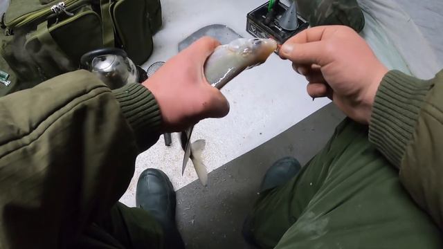 Печенежское водохранилище.с.Хотомля(насосная)Глухозимье.