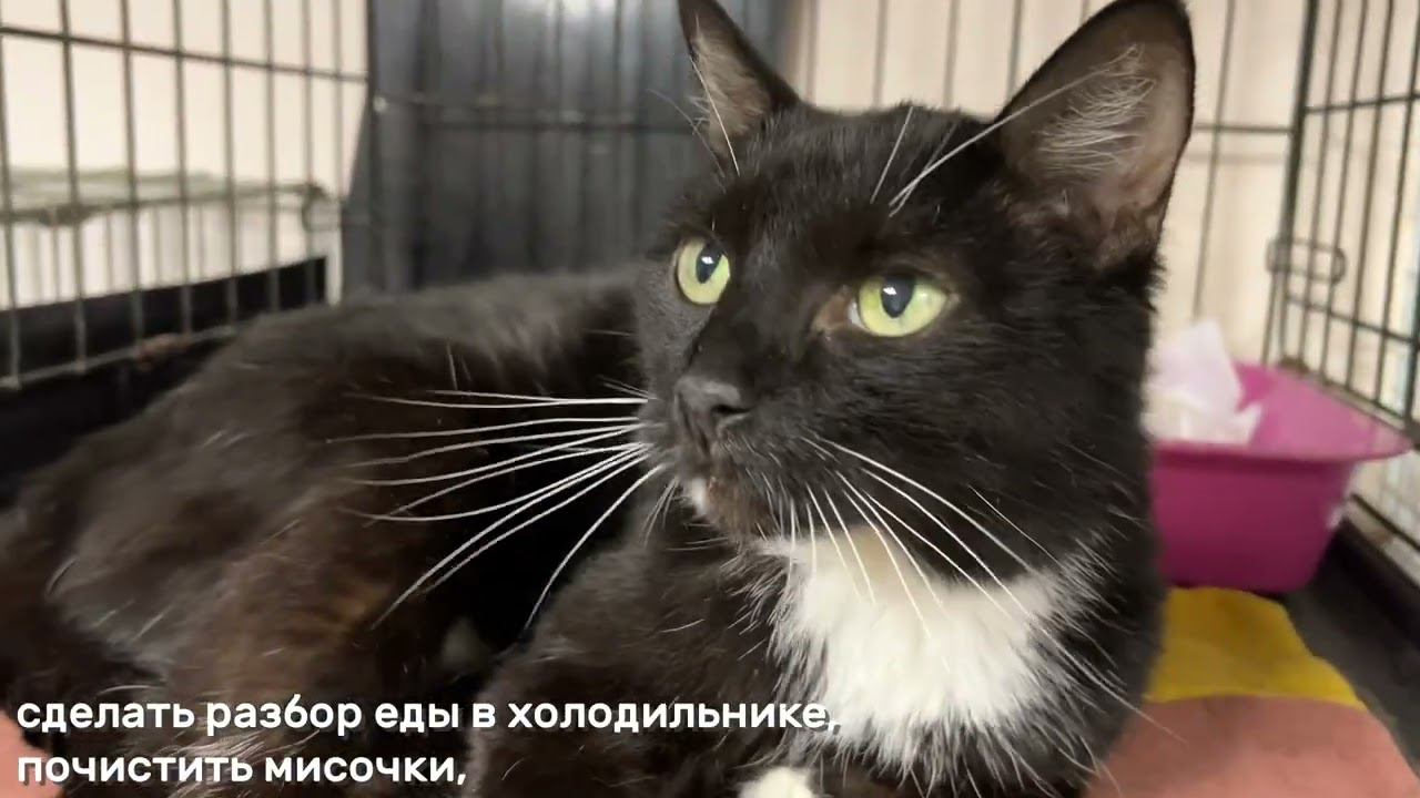 ЕВРОПА (уже дома)