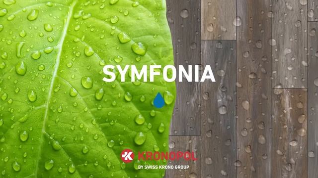 дети и Kronopol смотреть онлайн