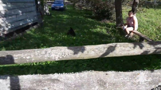 Деревенские животные. Жизнь в деревне.