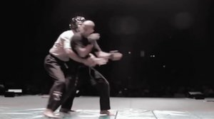 Krav Maga vs Hapkido