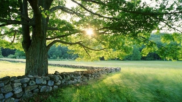 Relaxing Music#расслабляющая музыка#музыка для сна#успокаивающая#медитация#релакс#relax#