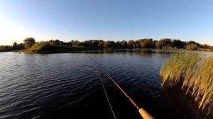 Окунь на отводной! Ловля на спиннинг летом с берега