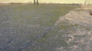 ВИР-технология и ВИР-оборудование в Москве - 2011.avi