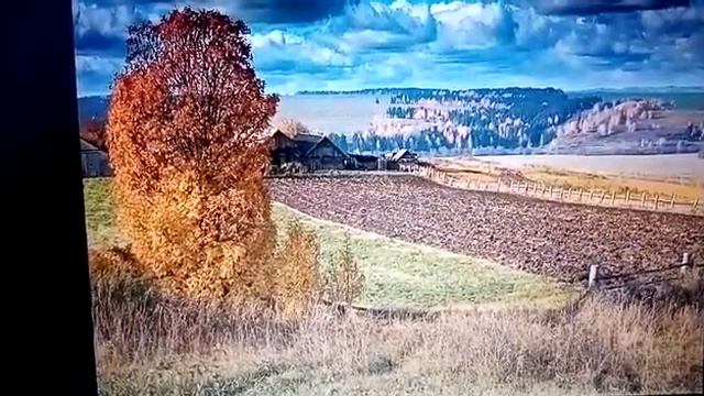 Видео-онлайн чтения "Я ль виноват, что я поэт..." к 125-летию С.А. Есенина смотреть онлайн