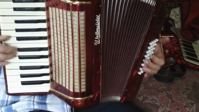 Аккордеон Weltmeister 1/2 смотреть онлайн
