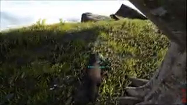 Симулятор животного: Лютоволк - устрашающий охотник! ARK: Survival Evolved - Play As Dino смотреть онлайн