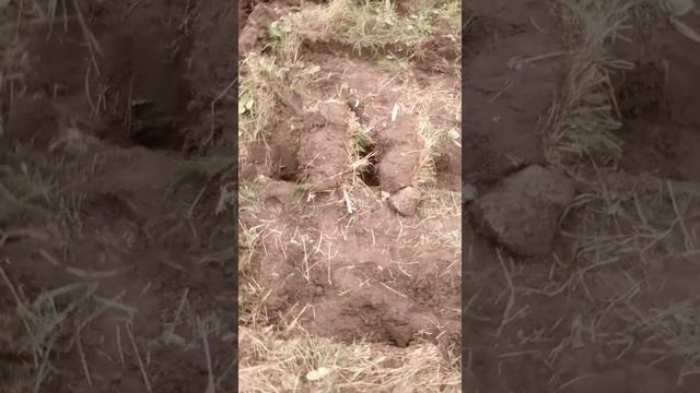 Веду обзор у Чудо - печки.. Не смешно!! смотреть онлайн