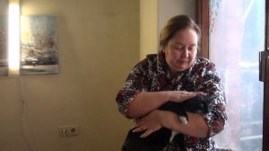 ПРЕПАРАТ ВЕТОМ для ЖИВОТНЫХ || История выздоровления подстрелянного кота Саймона