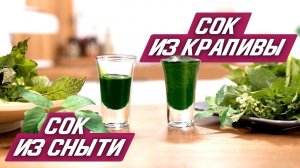 Сок крапивы и сныти | Отжим лечебных трав в двухшнековой соковыжималке