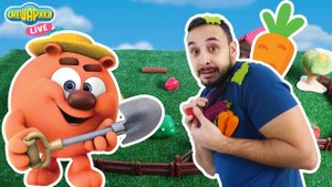 СМЕШАРИКИ и Папа Роб! Куда пропали овощи с огорода?