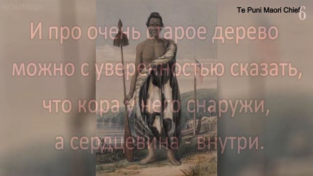 11 пословиц народа Маори смотреть онлайн