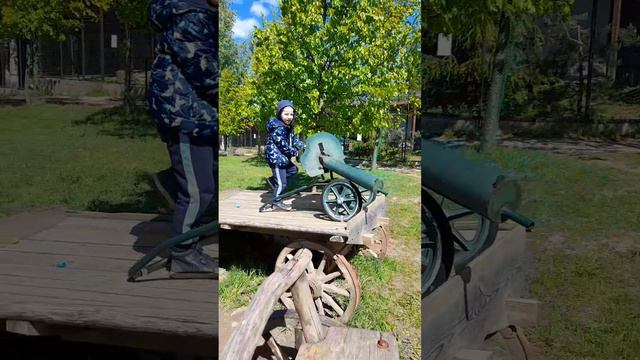 лето и арбалеты)
