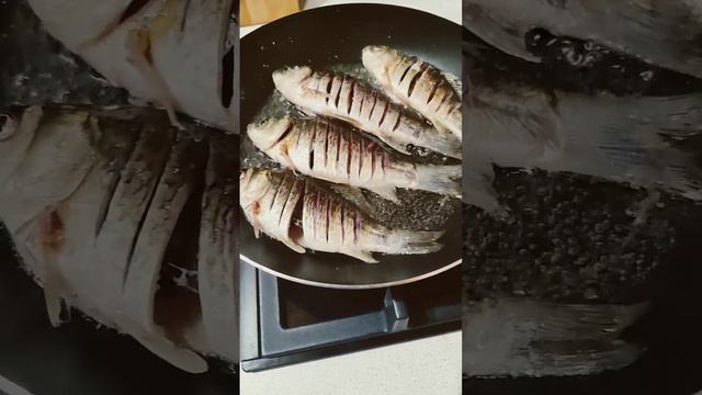 НАШ УЛОВ
