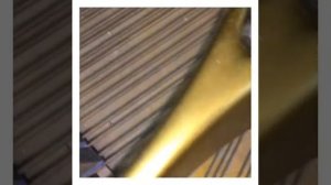 Чистка резонансной деки рояля Bluthner