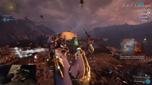 NEW WARFRAME DEVIL WING EPHEMERA COMING NEXT EVENT!