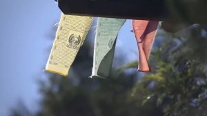 Вы есть сама тишина. Медитация с Муджи. Mooji, синхронный перевод