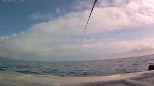В поисках луфаря, морская рыбалка в Алуште Черное море, морская прогулка на лодке пвх