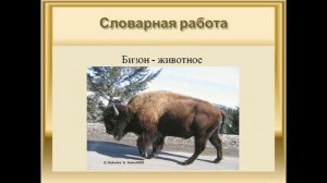 А П  Чехов «Мальчики»  Составление плана 4 класс