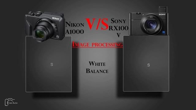 Nikon Coolpix A1000 vs Sony DSC RX100 V смотреть онлайн