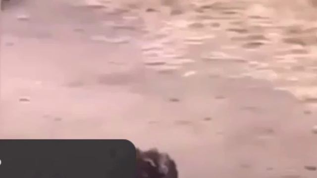 чуть чуть хотел нюхнуть смотреть онлайн