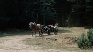 Песня кулаков Джек Восьмеркин Американец