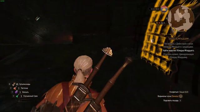 [WASD Gaming] The Witcher 3. Часть 92 Новиград. Охота за младшим смотреть онлайн
