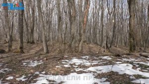 Лес приведений. Древние могильники. Мамайский лес. Ставрополь