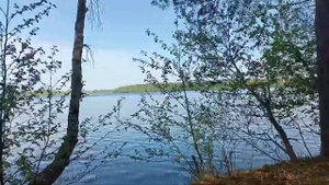 Обзор ОНЕЖСКОГО ОЗЕРА✨ УРОЗЕРО (ЧИСТОЕ ОЗЕРО).✨Республика Карелия!😍