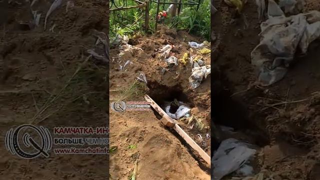 На Камчатке медведи разоряют могилы (18+) Слабонервным не смотреть! смотреть онлайн