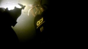 рак гигант..mp4