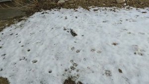 сколько можно заработать на сборе стеклянных бутылок-собираю стеклянные бутылки 30 минут