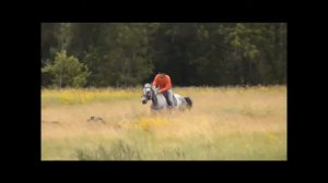 Урюпинск конноспортивный. Скачки на лошадях местных пород.