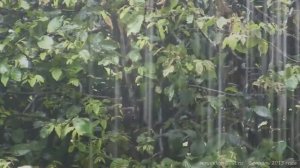 САМАЯ КРАСИВАЯ ПЕСНЯ !Ещё вчера