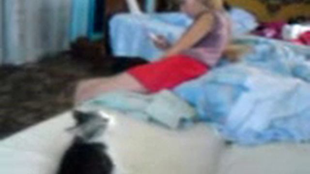 Агрессивный котёнок смотреть онлайн