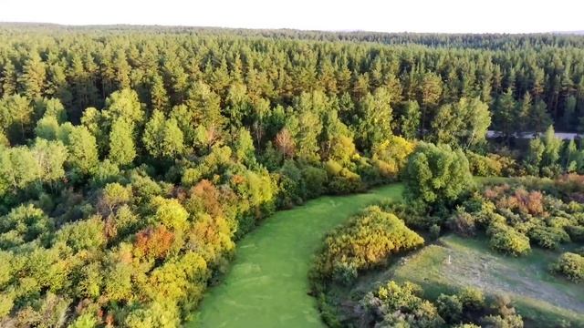 Природа, приобретает осенние краски, наступила Осень - 2022, с.Хуторок (лесхоз), река Жабай смотреть онлайн