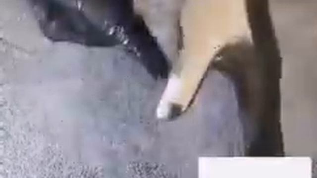 Как правильно мыть руки? смотреть онлайн